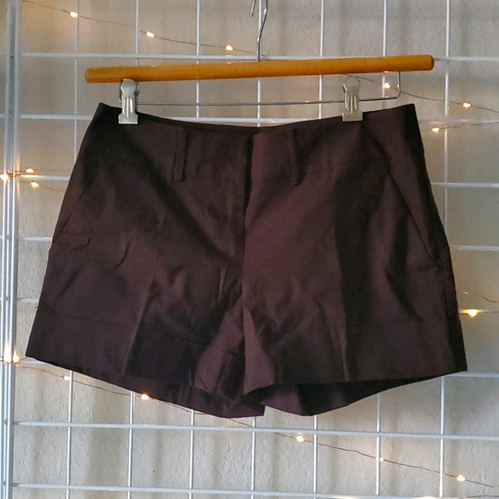 7th Avenue New York & Company Brown Cuffed Shorts